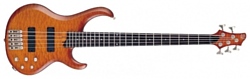 Ibanez BTB405QM