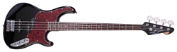 Peavey Zodiac BXP