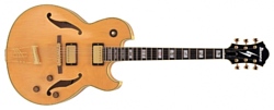 Ibanez PM120