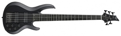 ESP BTL STD 5