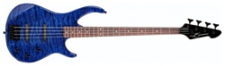 Peavey Millennium 4