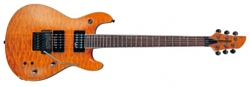 Fernandes Guitars APG-85S