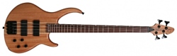 Peavey Grind Bass 4