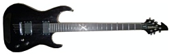 Washburn BX50PRO