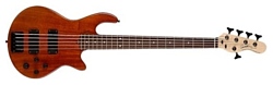 Godin Freeway 5 Active