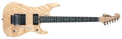 Washburn N4ESA