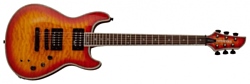 Fernandes Guitars Dragonfly Elite