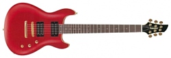 Fernandes Guitars APG-100