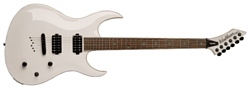 Washburn WM24