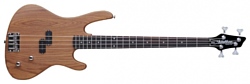 Washburn XB100