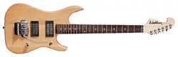 Washburn N3