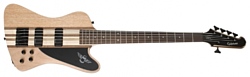 Epiphone Thunderbird Pro V