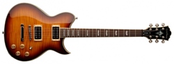 Washburn WI66PRO