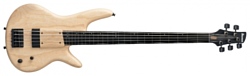 Ibanez GWB1005