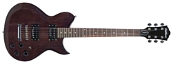 Washburn WI200PRO