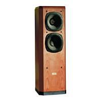 Tannoy Definition D500