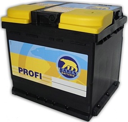 Baren Profi 545117042 (45Ah)