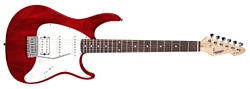 Peavey Raptor Plus