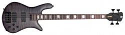 Spector Euro4LX-TW