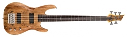 DBZ Barchetta SM Bass 5 String