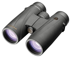 Бинокль Leupold BX-4 Mckinley HD 10x42