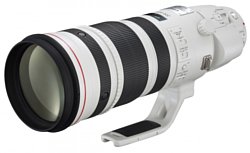 Canon EF 200-400mm f/4L IS USM Extender 1.4X