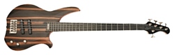 Washburn CB5