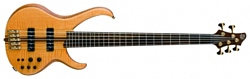 Ibanez BTB1405