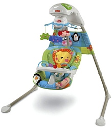 Fisher-Price W9507 Discover and Grow