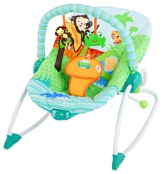 Bright Starts 60127 Baby to big Kid Rocker