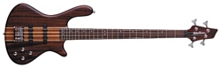 Washburn T24