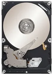 Жесткий диск Seagate ST1000VM002