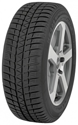 Falken Eurowinter HS-449 205/65 R16 95H