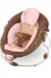 Bright Starts Comfort & Harmony 7081