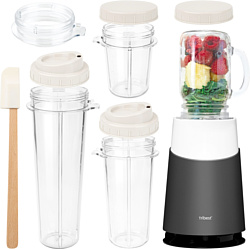 Tribest Personal Blender II Mason Jar Ready PB-430 (серый)