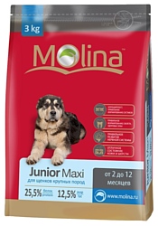 Molina Junior Maxi (15 кг)