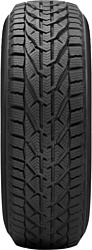 Tigar Winter 225/55 R17 101H