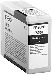 Epson C13T850100