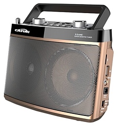 CAFINI CN-R1099FM