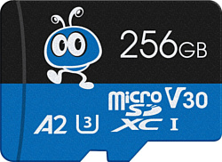 SmartBuy microSDXC SB256GBSDU3UL01 256GB SmartBuy microSDXC SB256GBSDU3UL01 256GB