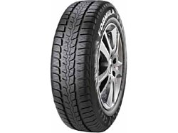 Formula Winter 195/65 R15 91T