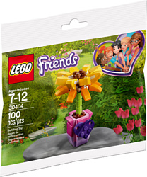 LEGO Friends 30404 Цветок дружбы