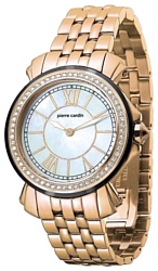 Pierre Cardin PC100742F01