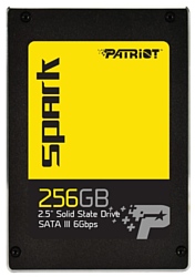 Patriot Memory PSK256GS25SSDR