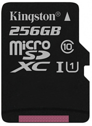 Kingston SDCS/256GBSP