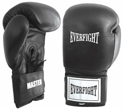 Everfight Master EBG-522