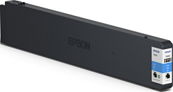 Epson C13T858200