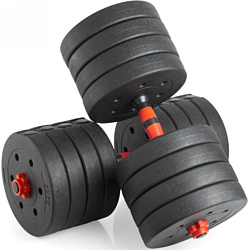 VictoryFit VF-DC500 2x25 кг