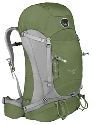 Osprey Kestrel 58 green/grey (conifer/green)