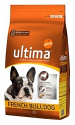 Ultima (1.5 кг) French Bulldog